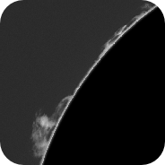 Posted Image