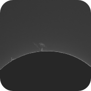 Posted Image