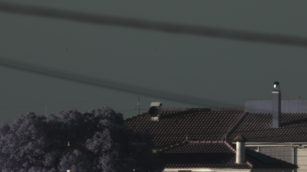 Capture_00001.png