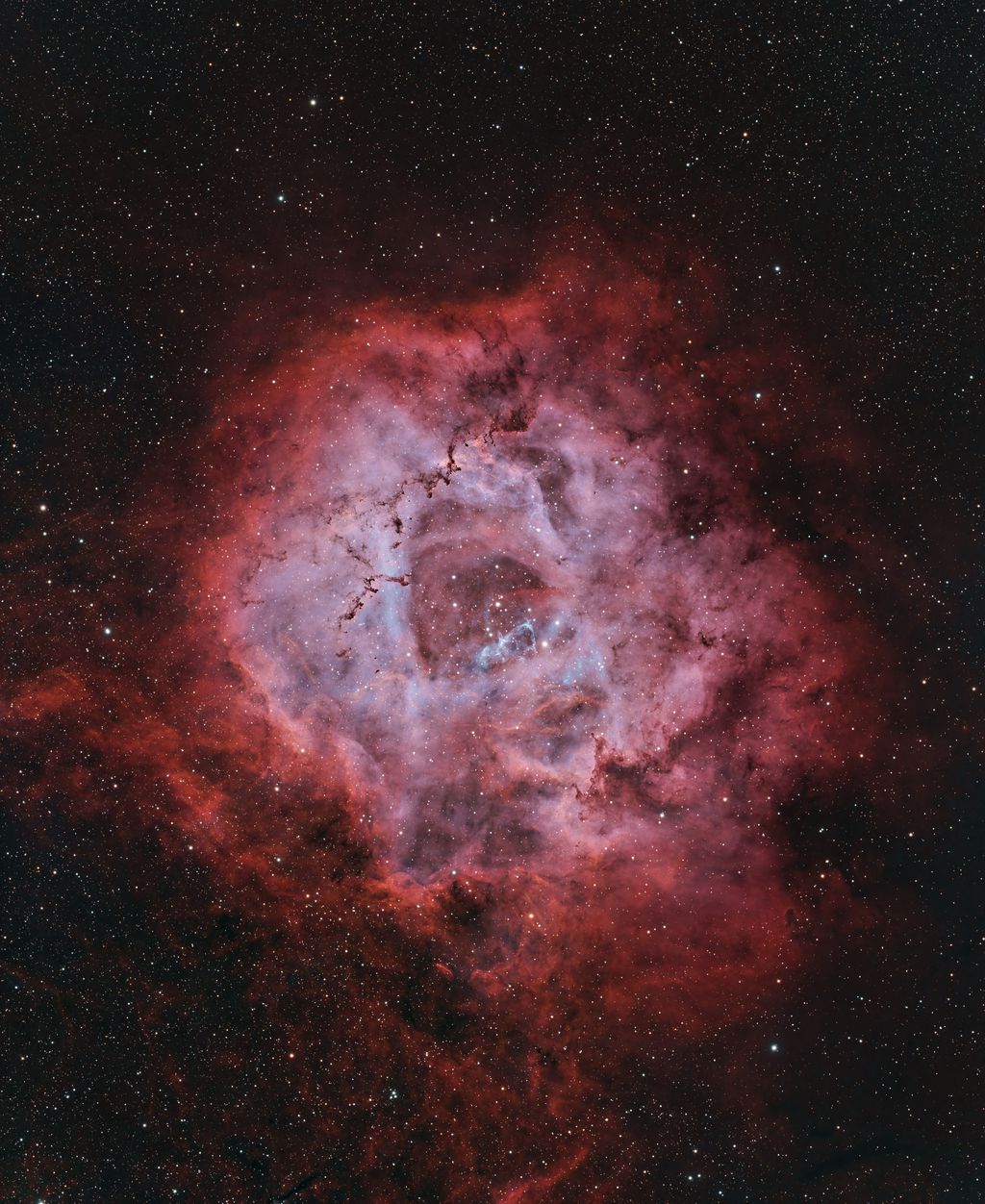 Rosette_mosaic_rgb_17hrs_copy_6050x7400.jpg