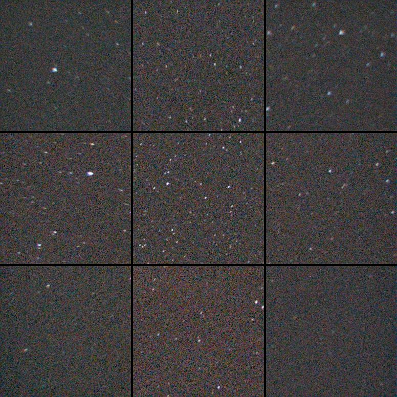 IMG_1209_mosaic.jpg