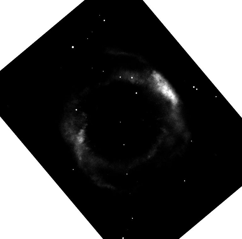Helix_ha_binned_contrasty.jpg