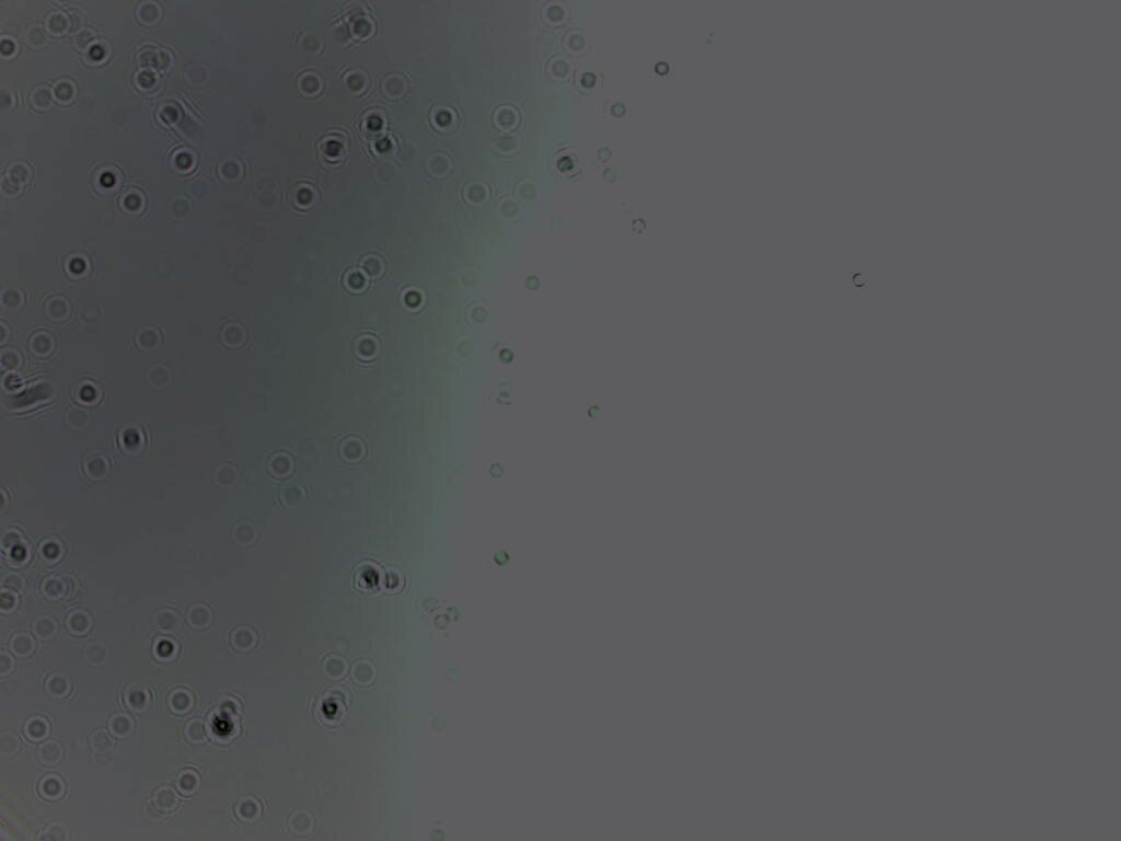 1st_light_2025-05-25-134410.jpg