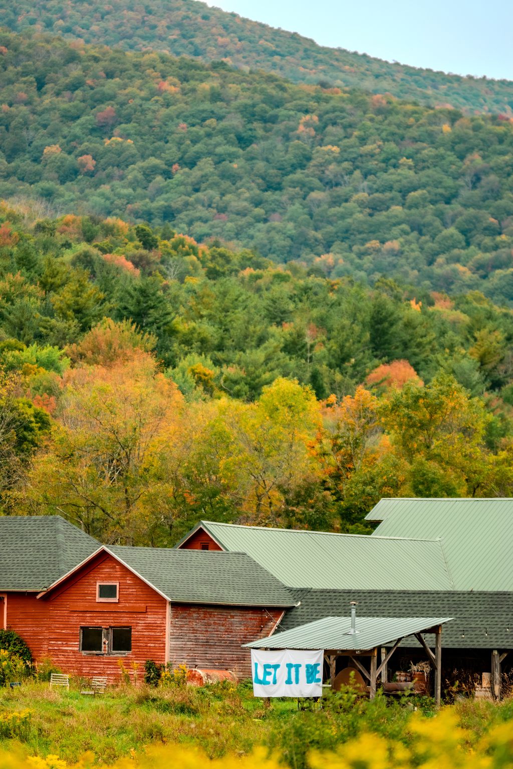 DSC_0513.jpg
