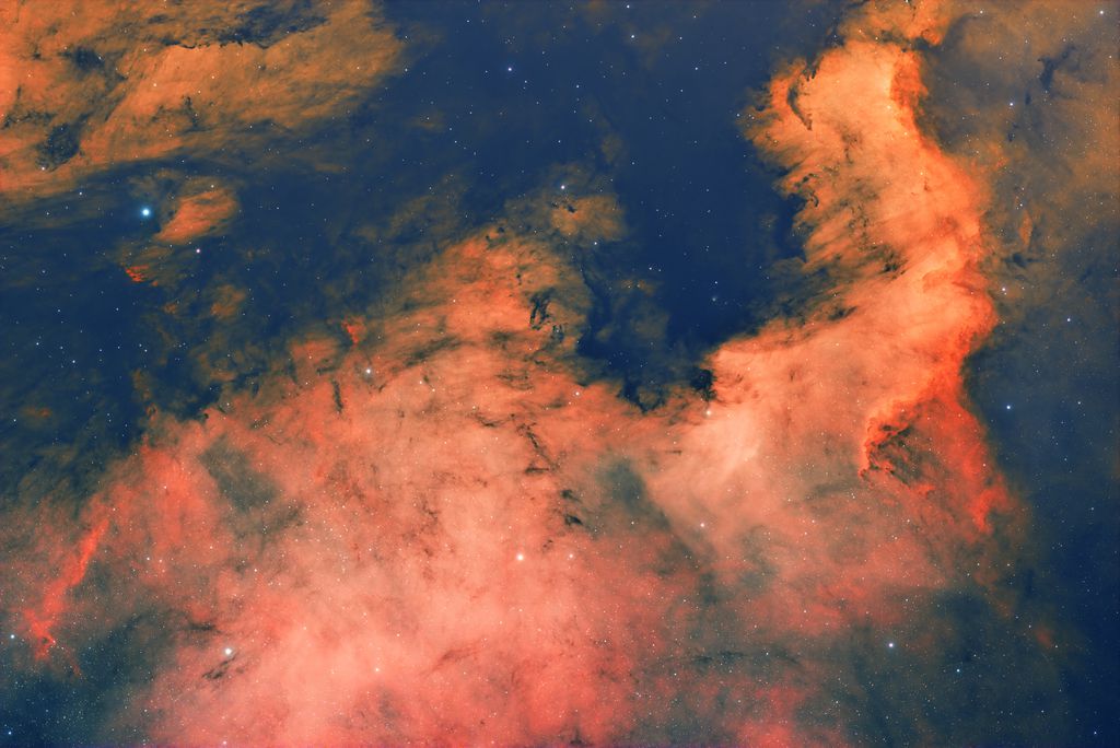 14.6h_Edit2_compressed.jpg