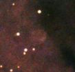 zoomed.jpg