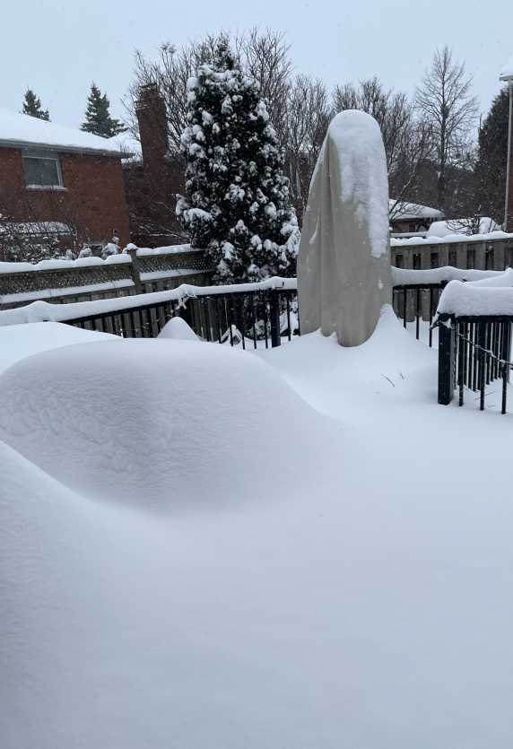 Cover_Winter.png