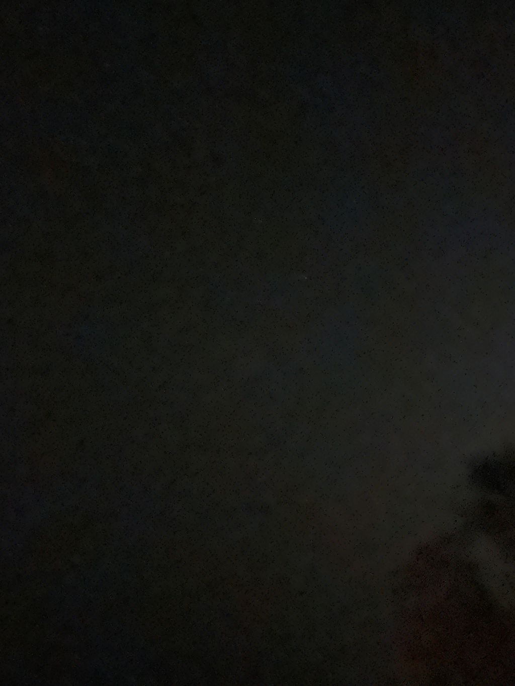 IMG_1721.jpeg