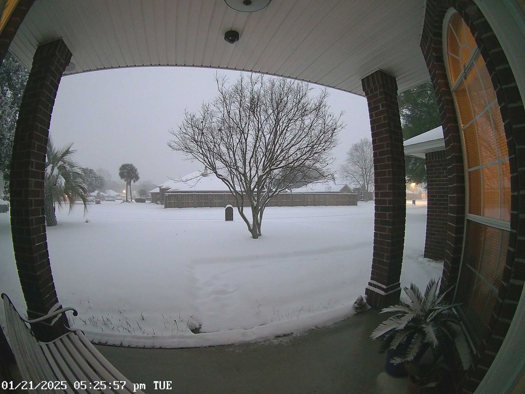 Snow_25.jpeg
