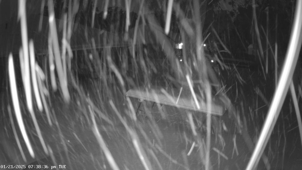 Snow_32.jpeg