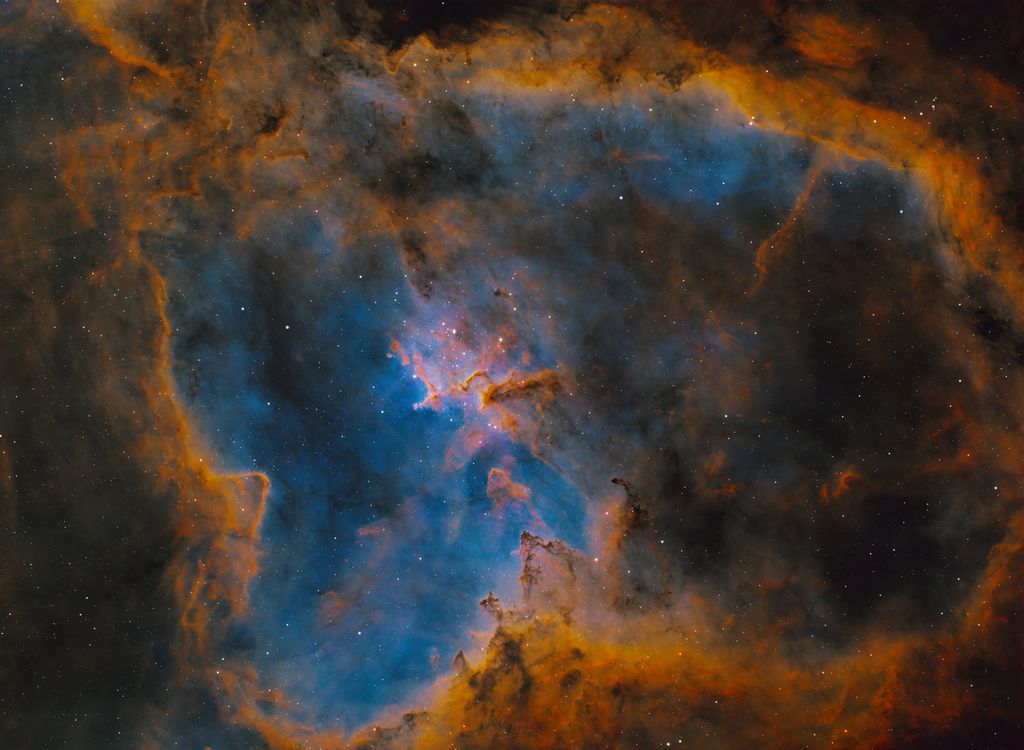 IC1805-sho-2.jpeg