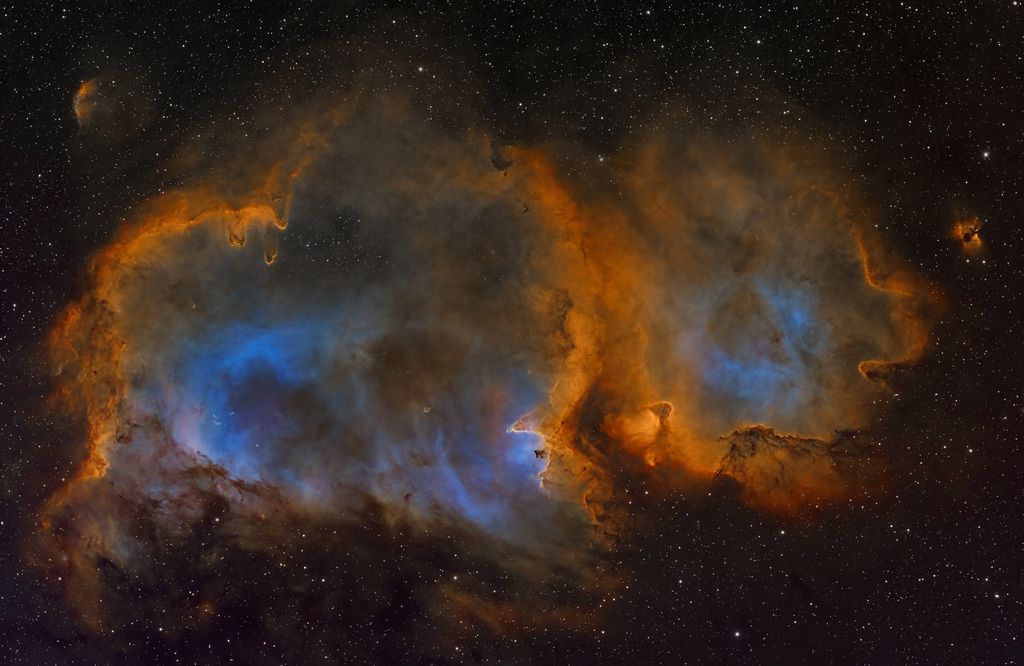 IC1848_SHO_V2_Oct_2024_mixed.jpg