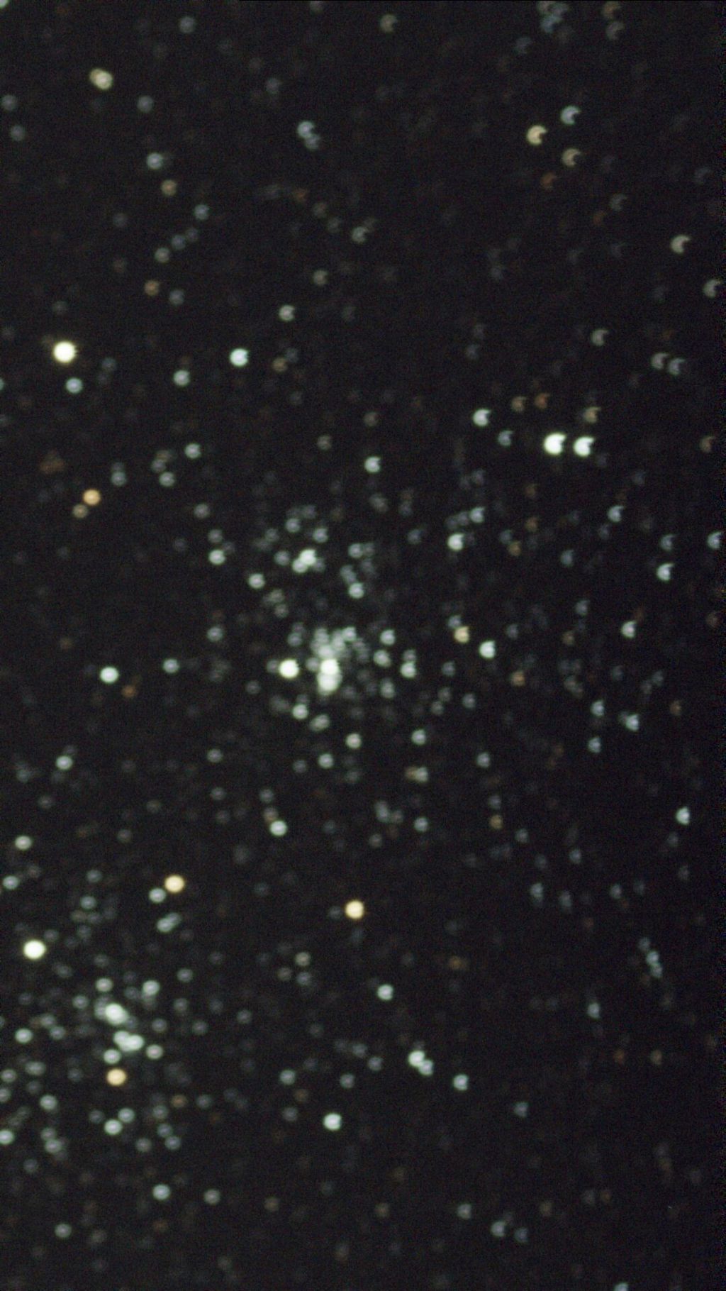 1730739751287.jpg