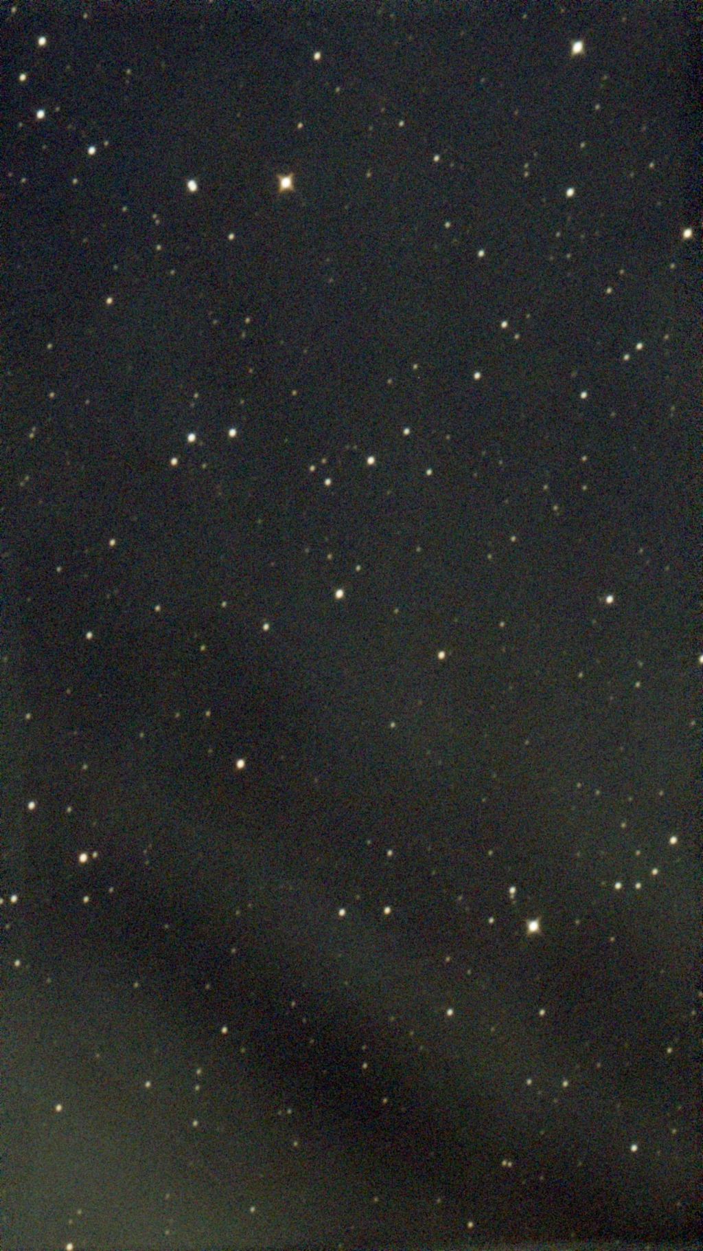 1732508966217.jpg