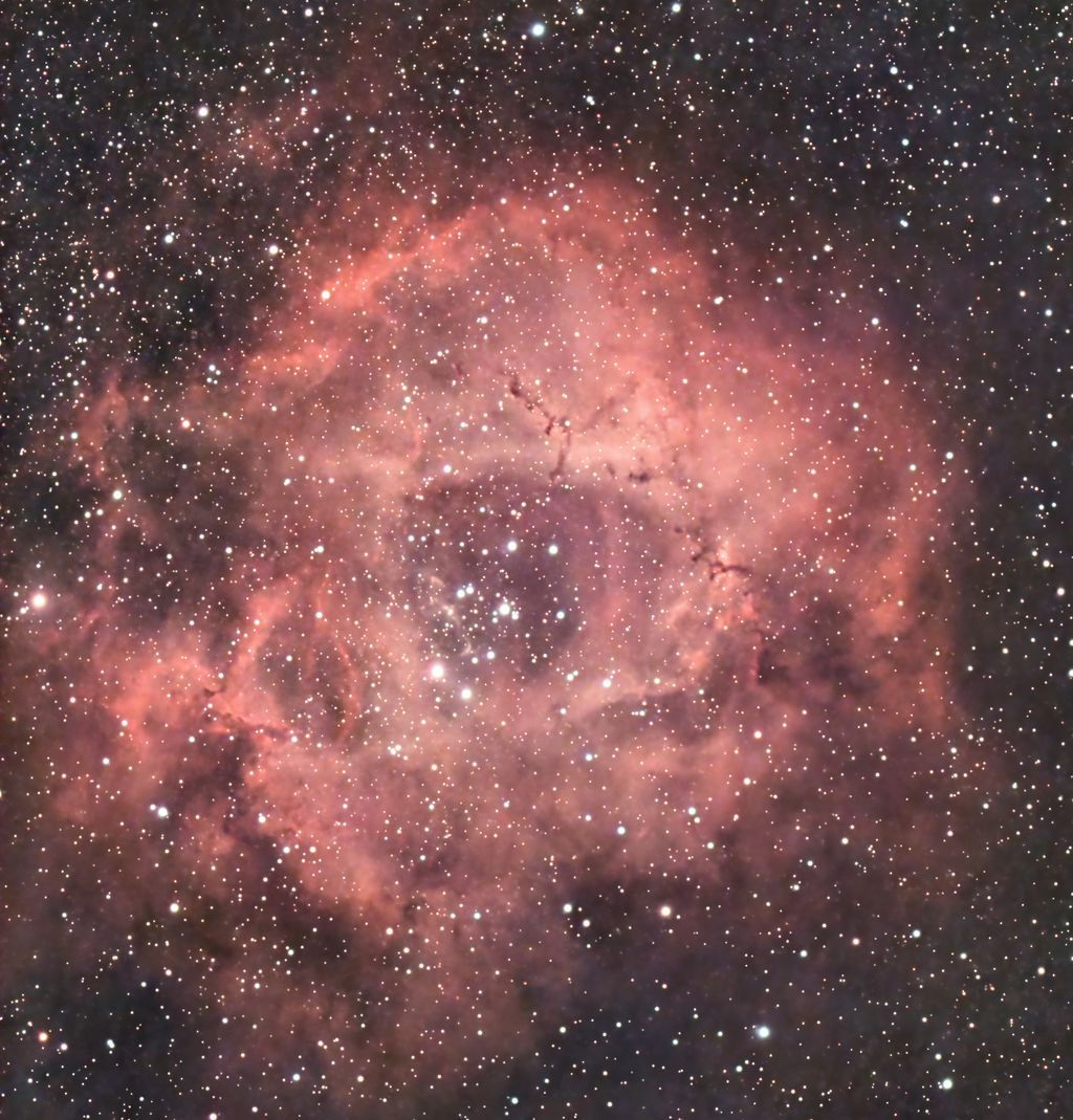 rosette 3rd.jpg