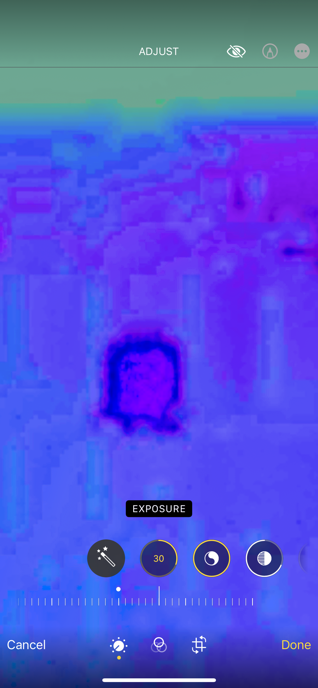 IMG_9113.png