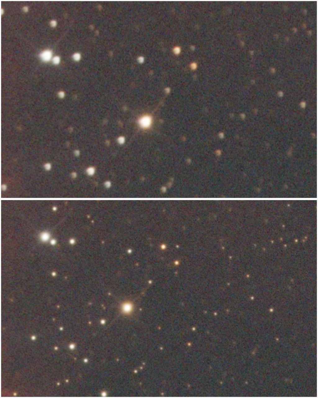 InCollage_20250126_133826113.jpg