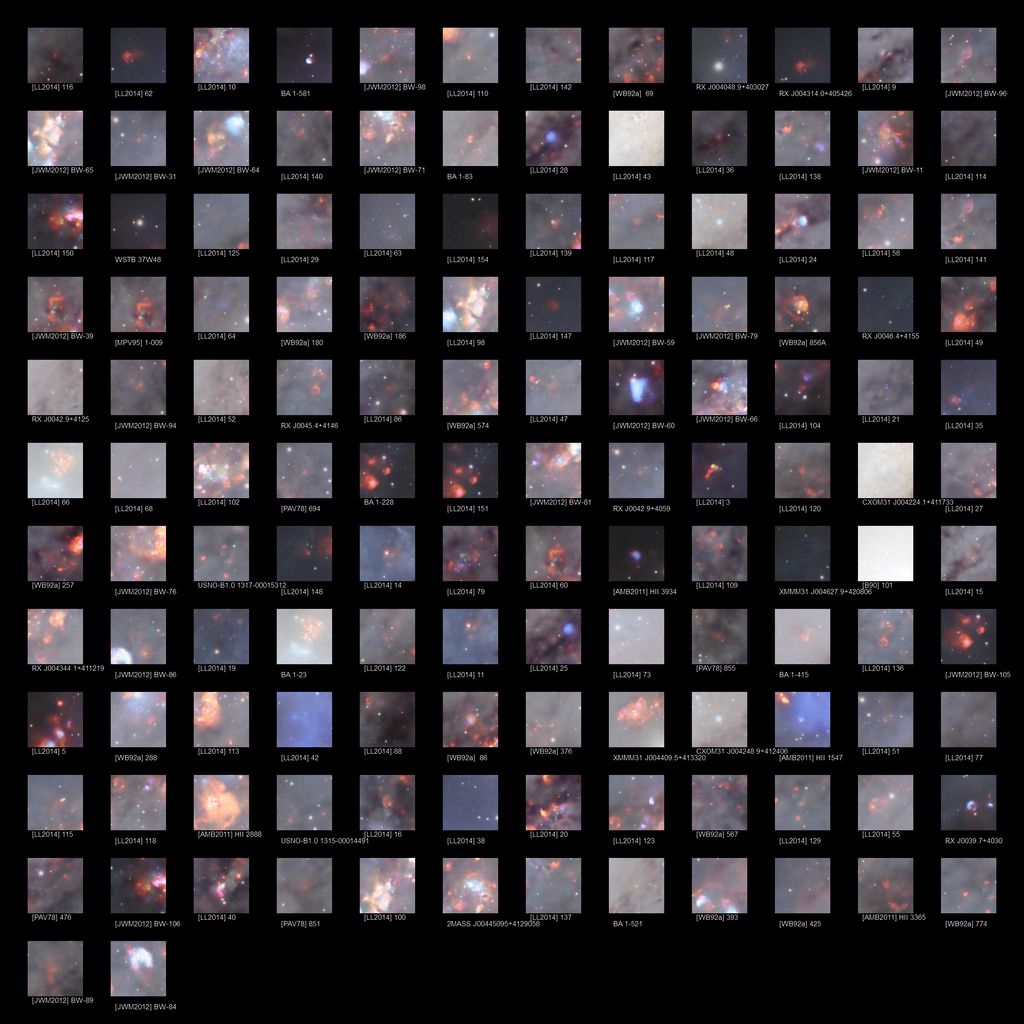 andromeda supernovas.jpg