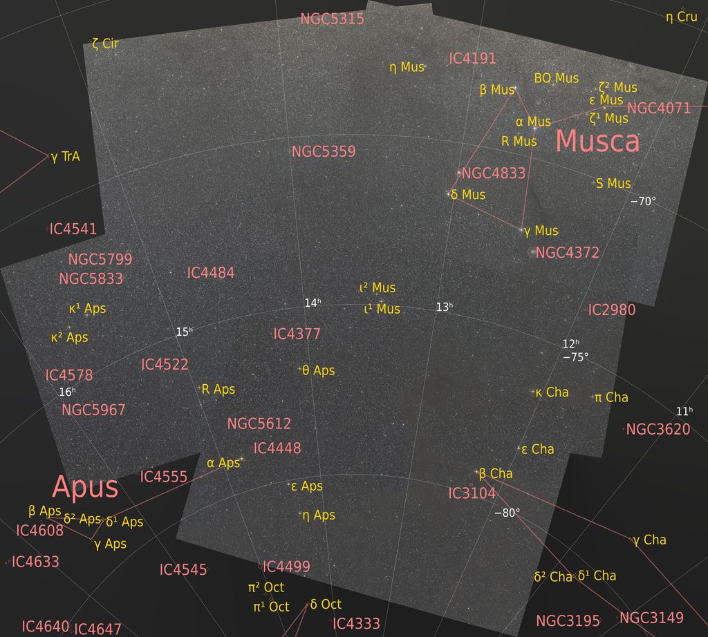 annotated mosaic.jpg