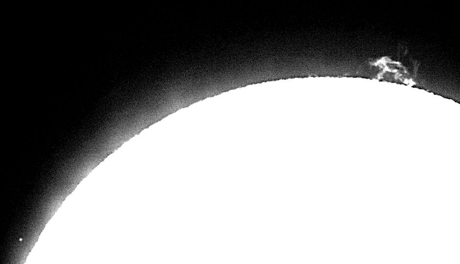 sun full disk prominences 1.jpeg