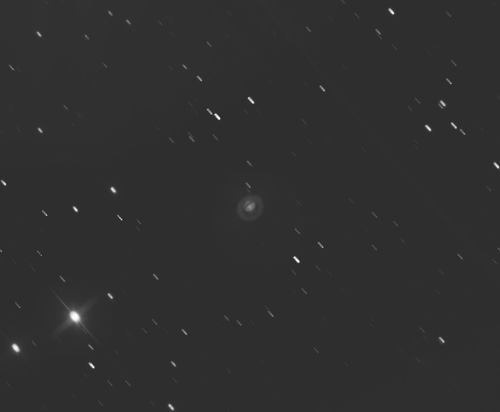 R_zoom.jpg