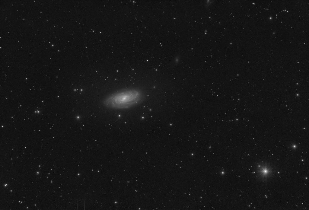 NGC3953_GraXpert.jpg