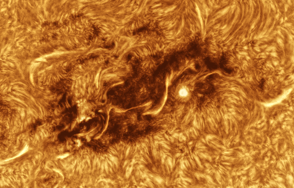 image (10) (1).png