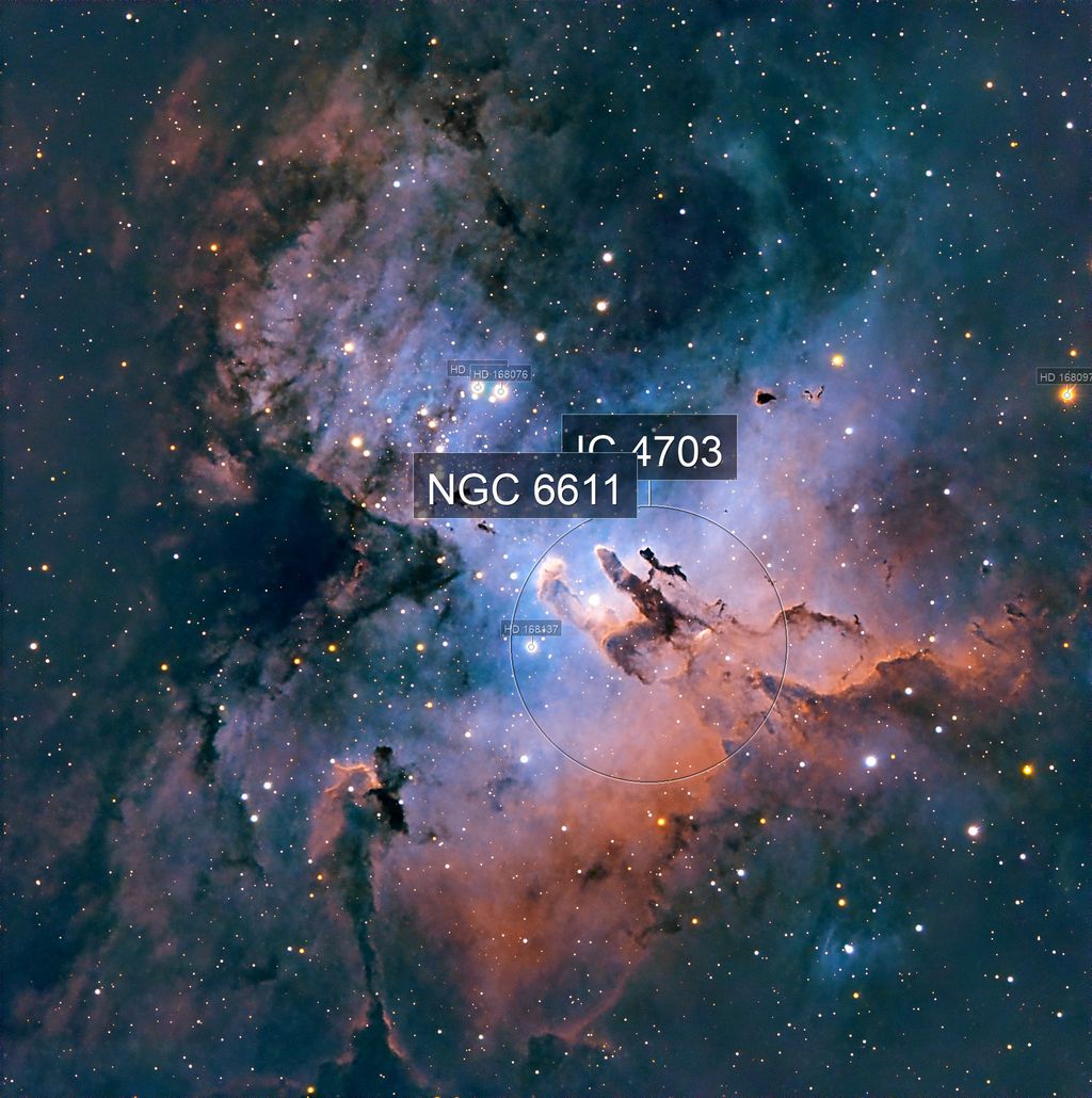 C11.jpg