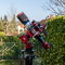 Astroalex20