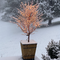 AllenSmith1720