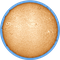 Astropotamus