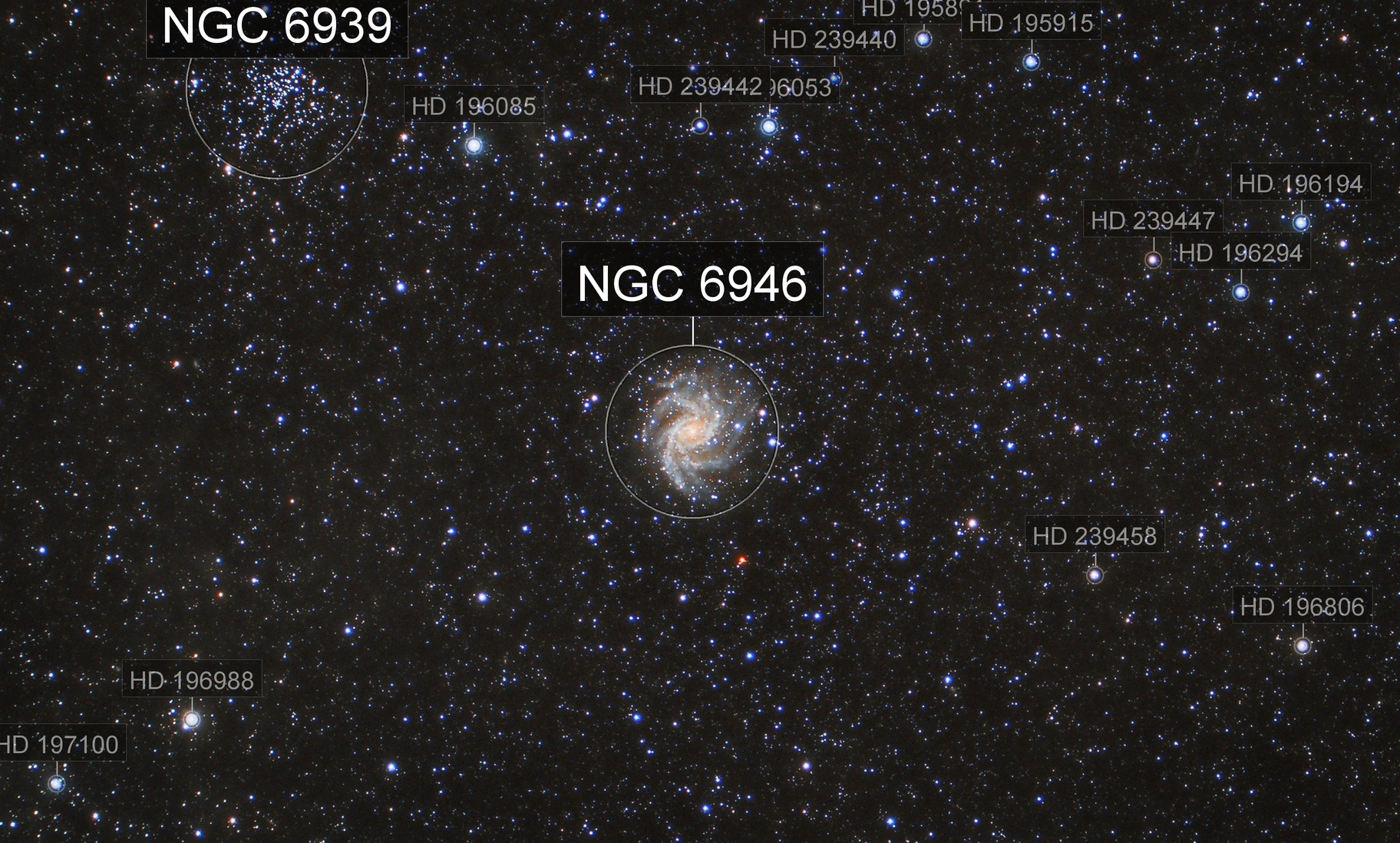 NGC 6946 Fireworks Galaxy David Scharlach AstroBin NGC 6946 Fireworks Galaxy David Scharlach AstroBin