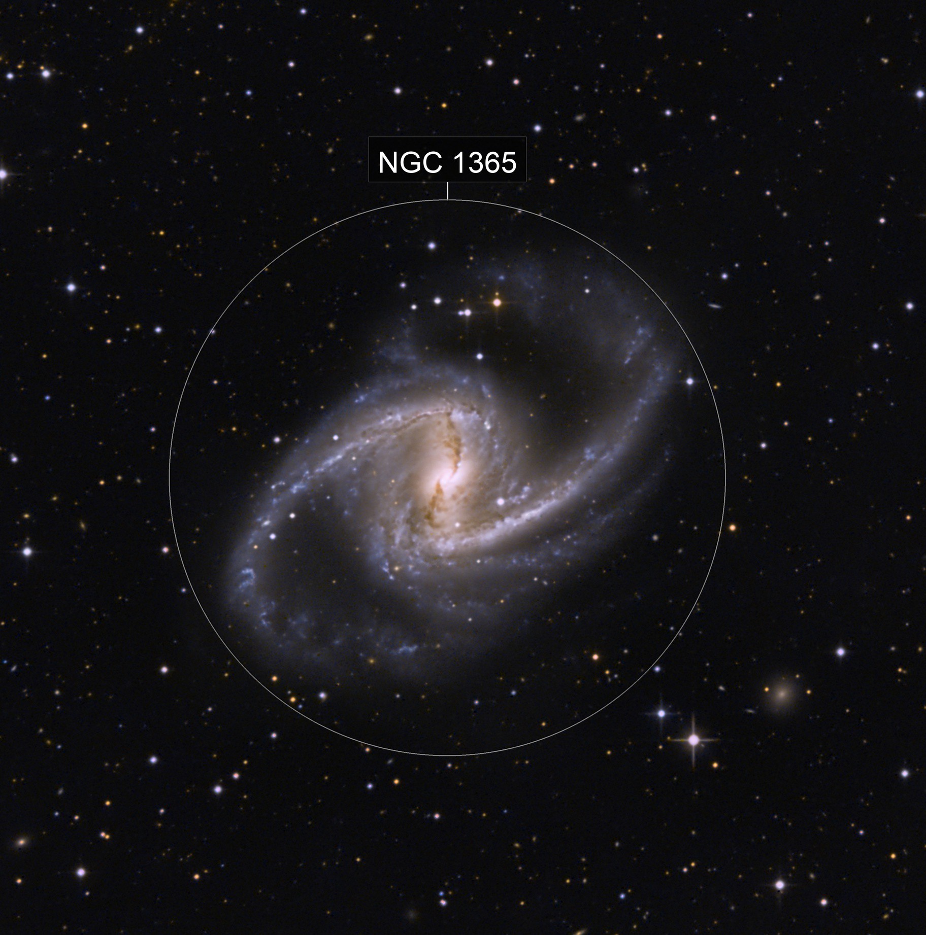 NGC 1365 (NGC 1365 and PGC Neighbourhood)