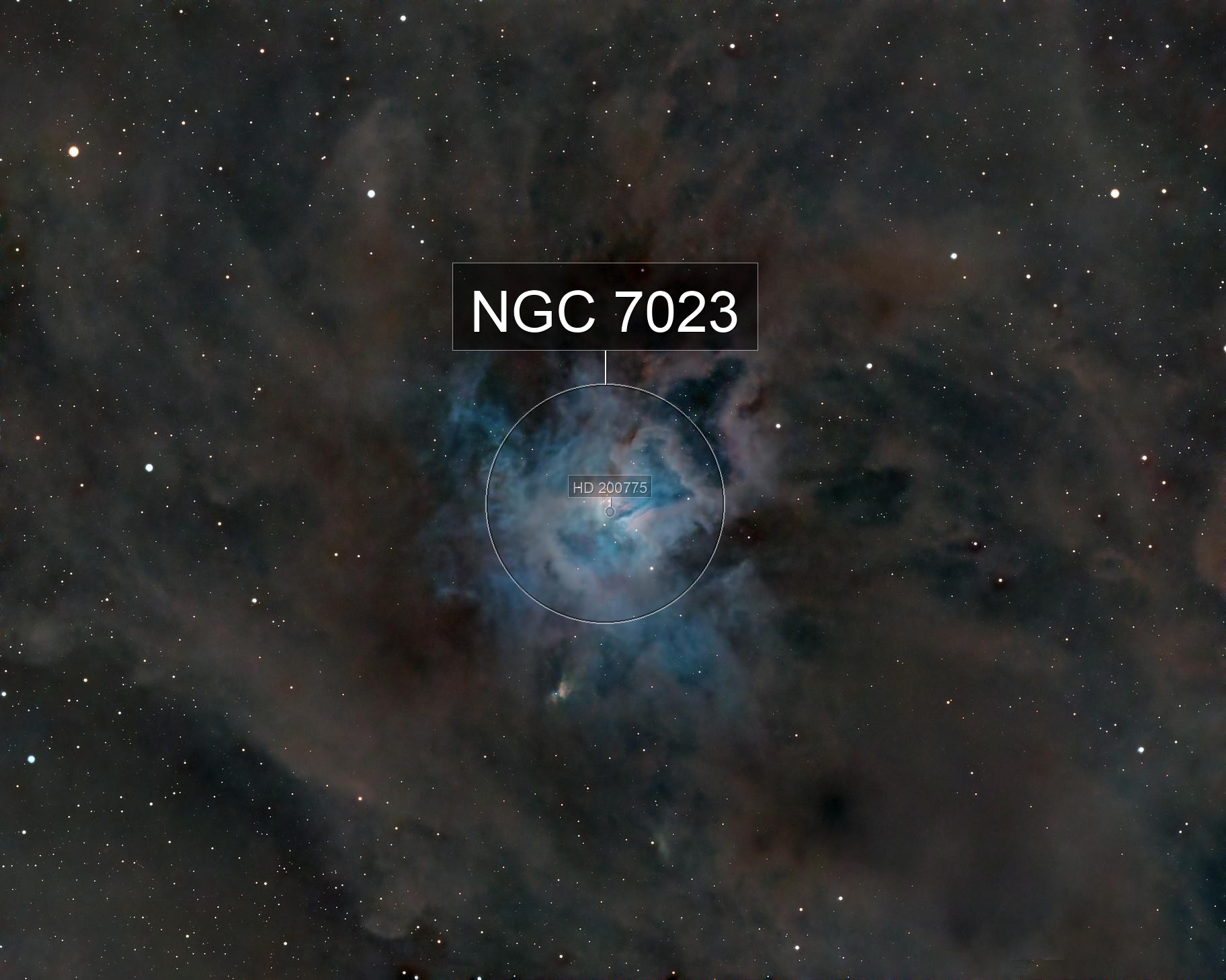 NGC 7023, the Iris Nebula