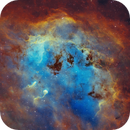 IC410 - Celestial tadpoles in SHO, patrice_so