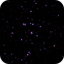 M44, the Beehive Cluster, Catherine Ryan Hyde