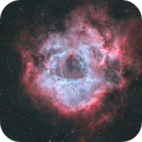 First Target with my Epsilon 180 - Rosette Nebula, Deepan Vishal