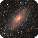 Circinus Galaxy, Eduardo Rigoldi Fernandes