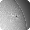 4 jul 25 - 0909ut - cah - ar 4131, Leela.Astro.Imaging