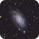 NGC 2403, astrotaxi