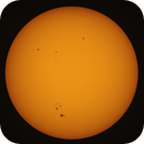 Sun 13-July-2024, Ron Lundgren