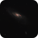 M106 Galaxy in Canes Venatici, Anders Quist Hermann