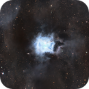 Iris Nebula NGC 7023 (C4), Leurda Ivan