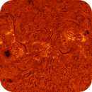 AR14136 AR14136 in h-alpha taken 14072025, nonsens2
