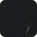 NGC 4236 in LRGB (NGC 4128 and 4120 as little bonus), Uwe Deutermann