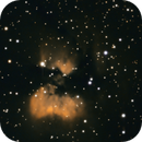 RCW 87 and RCW 88, Eduardo Rigoldi Fernandes
