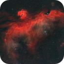 IC 2177 Seagull Nebula, maxchess