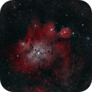 IC 4685, Natalie Sigalovsky