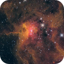The Spider Nebula (IC417), MirachsGhost