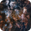 Gamma Cygni Wide Field, Rob Lyons